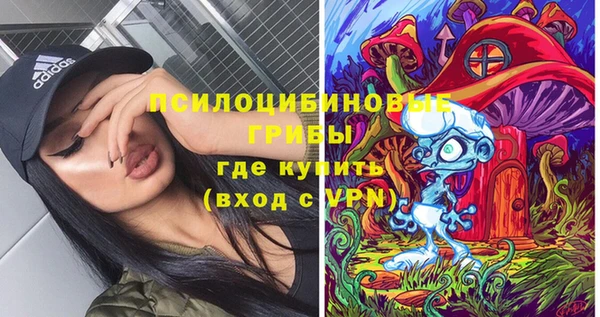 spice Кинешма