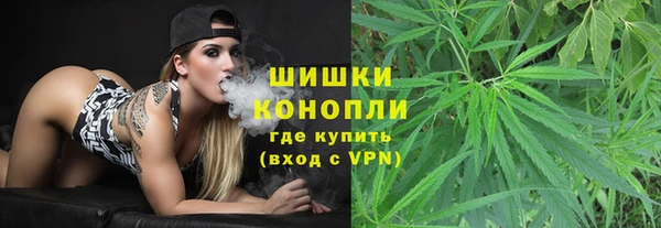 ECSTASY Бикин